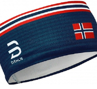Повязка Bjorn Daehlie 2020-21 Mesh Norwegian Flag