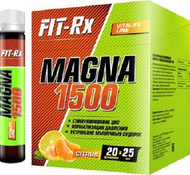 MAGNA 1500 Fit-rx