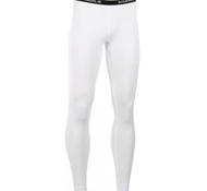 Брюки Bjorn Daehlie 2019-20 Compete Tech Pants Snow White