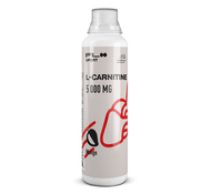 Карнитин / L-Carnitin 5000 Mango FLOO SPORT 500мл